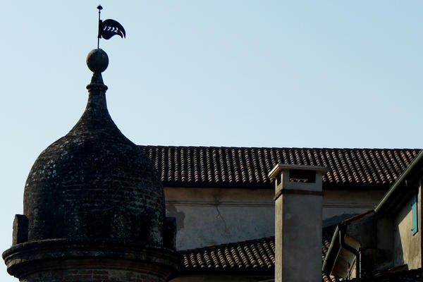 Legnago Cerea Oasi Naturalistiche Valli Grandi Veronesi, Adige Canalbianco Po