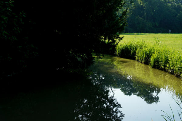 Legnago Cerea Oasi Naturalistiche Valli Grandi Veronesi, Adige Canalbianco Po