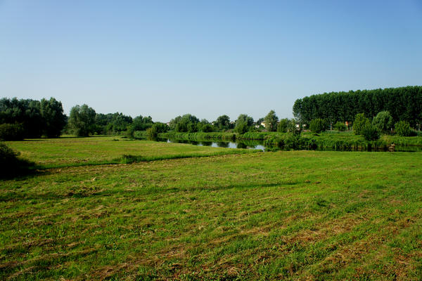 Legnago Cerea Oasi Naturalistiche Valli Grandi Veronesi, Adige Canalbianco Po