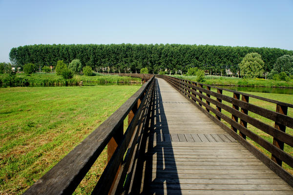 Legnago Cerea Oasi Naturalistiche Valli Grandi Veronesi, Adige Canalbianco Po