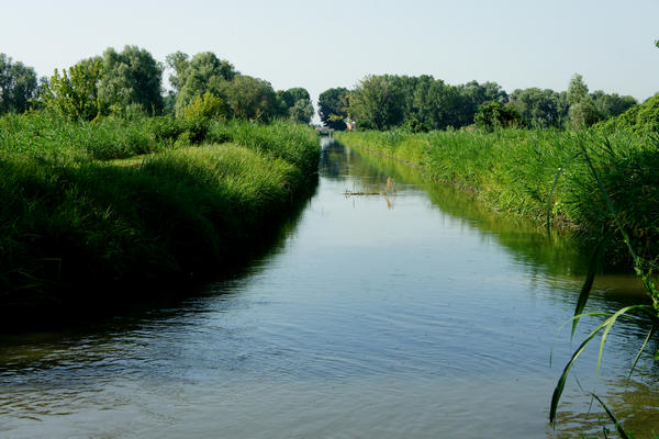 Legnago Cerea Oasi Naturalistiche Valli Grandi Veronesi, Adige Canalbianco Po
