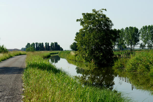 Legnago Cerea Oasi Naturalistiche Valli Grandi Veronesi, Adige Canalbianco Po