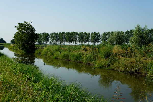 Legnago Cerea Oasi Naturalistiche Valli Grandi Veronesi, Adige Canalbianco Po