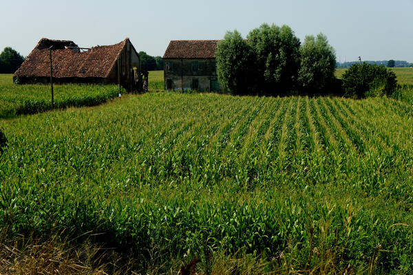 Legnago Cerea Oasi Naturalistiche Valli Grandi Veronesi, Adige Canalbianco Po
