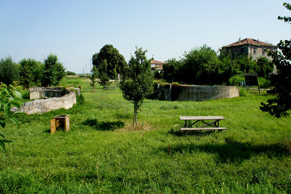 Legnago Cerea Oasi Naturalistiche Valli Grandi Veronesi, Adige Canalbianco Po