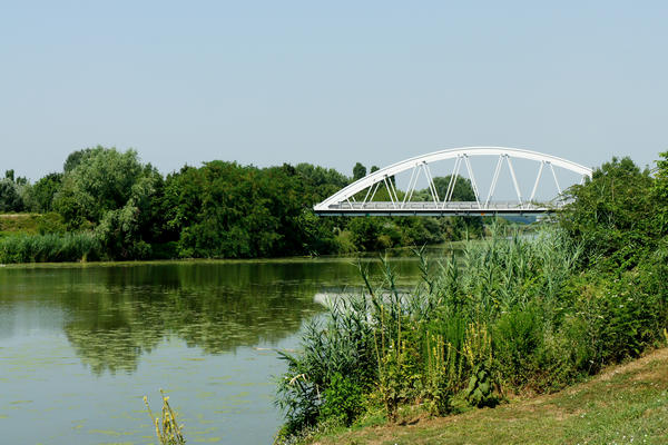 Legnago Cerea Oasi Naturalistiche Valli Grandi Veronesi, Adige Canalbianco Po