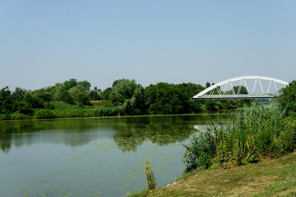 Legnago Cerea Oasi Naturalistiche Valli Grandi Veronesi, Adige Canalbianco Po