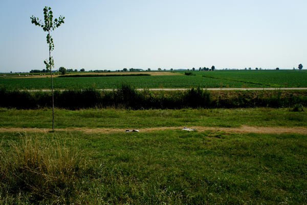 Legnago Cerea Oasi Naturalistiche Valli Grandi Veronesi, Adige Canalbianco Po