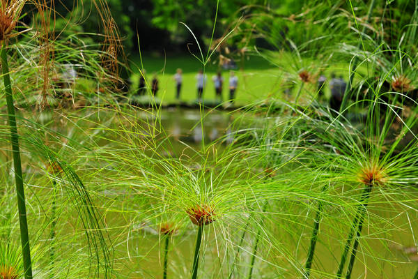 Parco Giardino Sigurtà a Valeggio sul Mincio