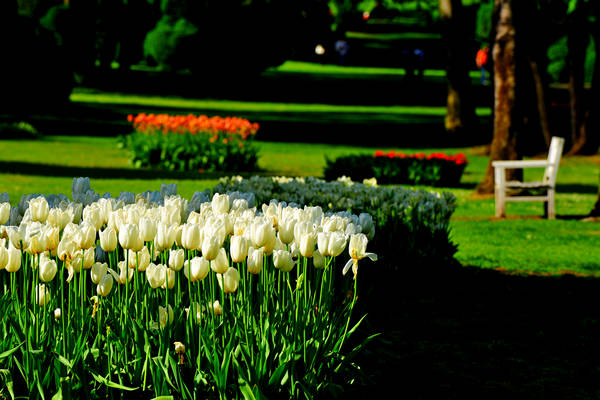 Parco Giardino Sigurtà a Valeggio sul Mincio