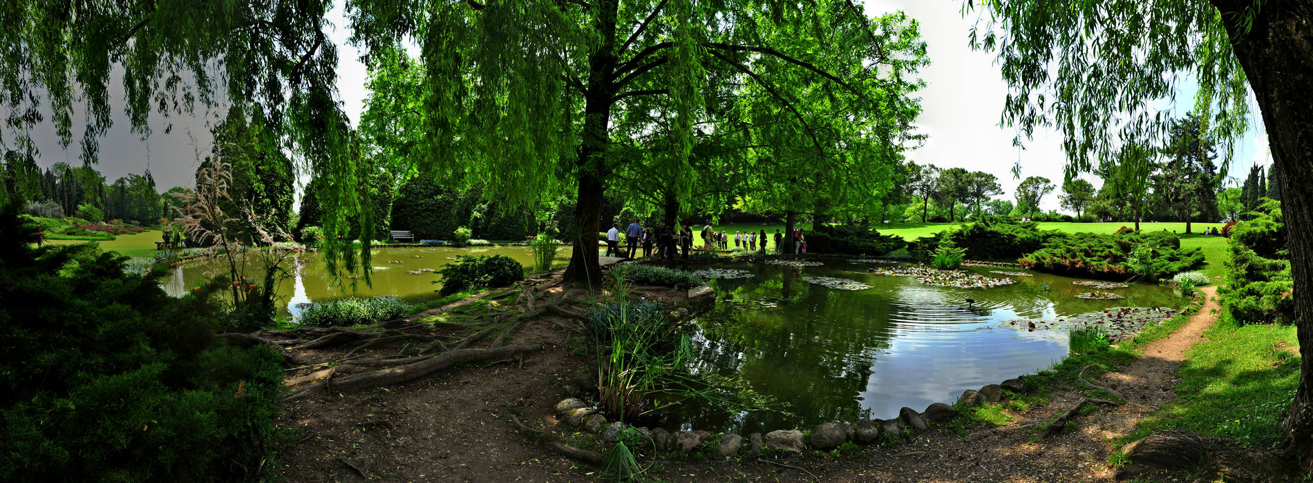 parco giardino Sigurta a Valegggio sul Mincio
