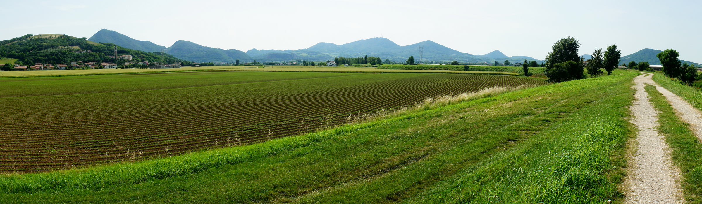 Anello Ciclabile attorno ai Colli Euganei, zona Lovertino vs Monte Madonna