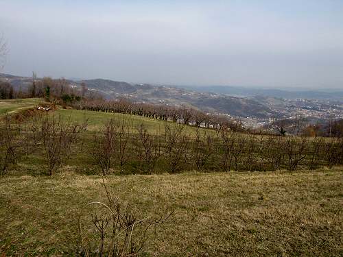 sentiero delle Marogne, Chiampo
