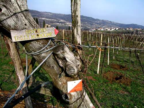 sentiero delle Marogne, Chiampo
