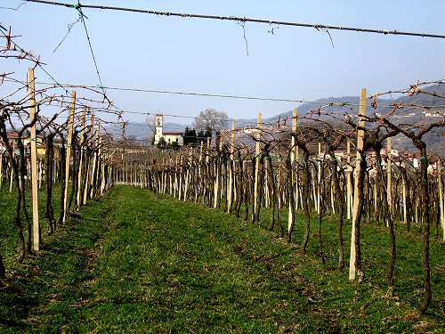 sentiero delle Marogne, Chiampo