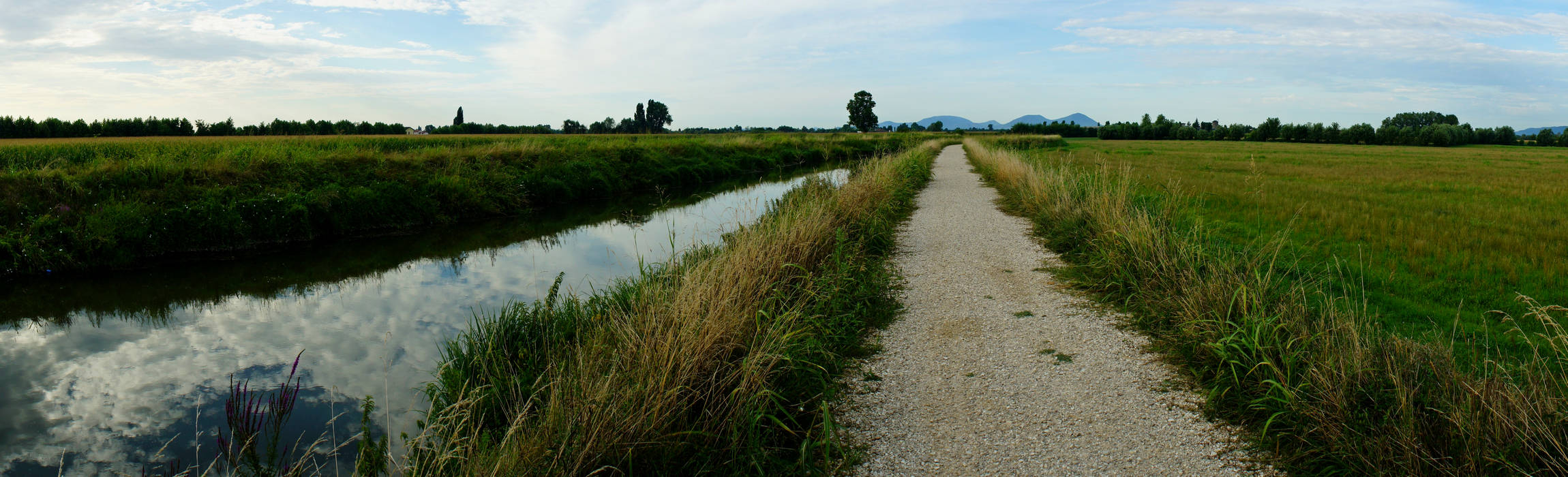 il fiume Ceresone a Camisano Vicentino