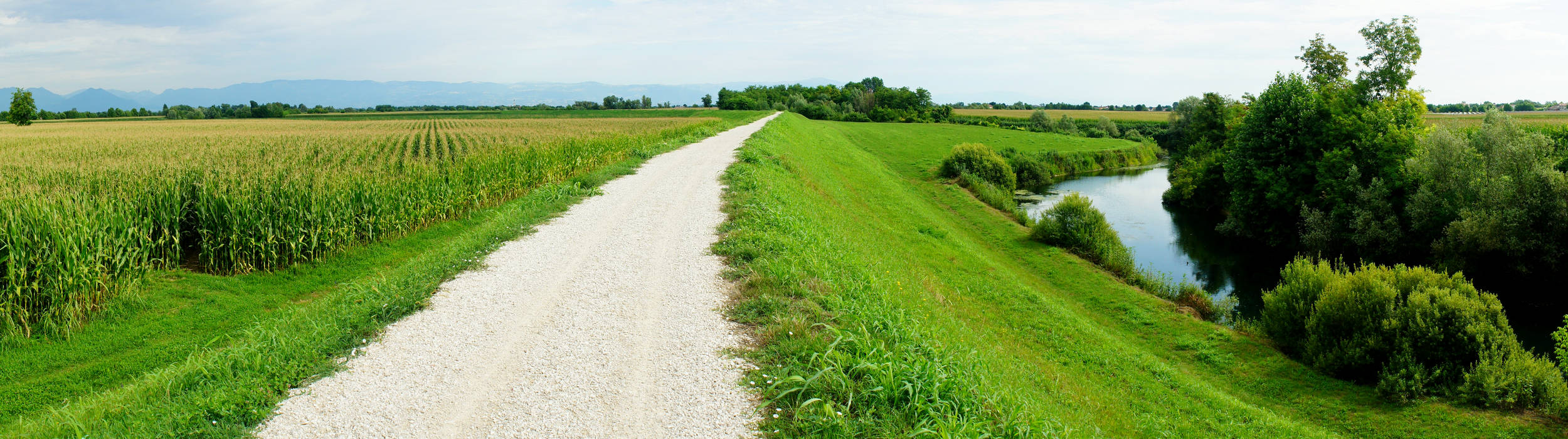 argine del fiume Tesina a Torri di Quartesolo