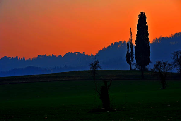 Villa Palladiana Almerico-Capra detta La Rotonda a Vicenza