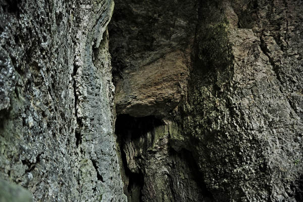 Buso della Rana a Priabona di Monte di Malo