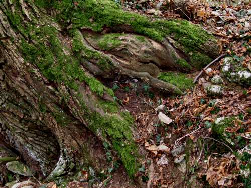 Priabona Monte di Malo