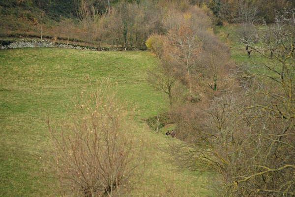 sentiero naturalistico Priabona-Campipiani